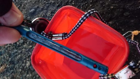 コウイカちゃん