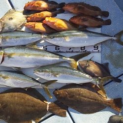 やっぱり泳がせは最強