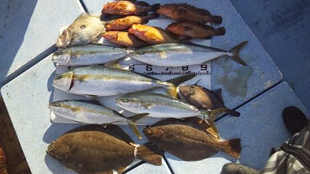 やっぱり泳がせは最強