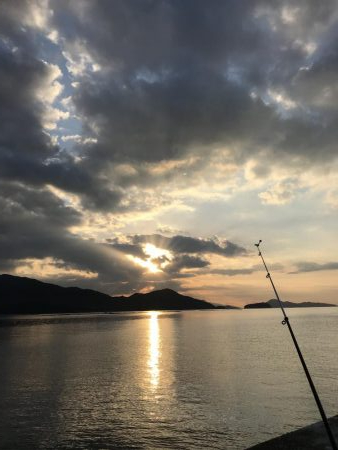 投げ釣りでマダイ