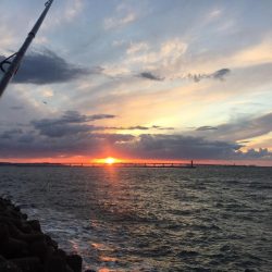 強風タチウオワインド