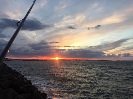 強風タチウオワインド