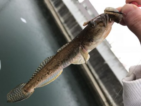 ちょい投げ、足元釣り