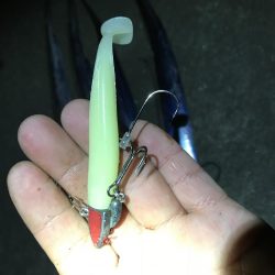 サイズがちょっと大きくなったかな