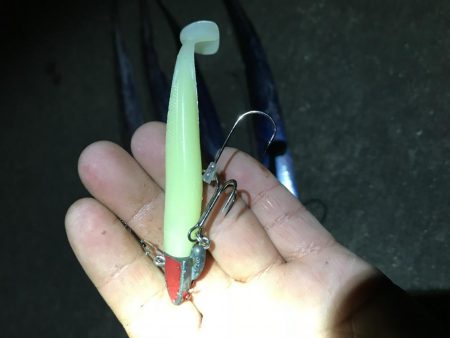 サイズがちょっと大きくなったかな