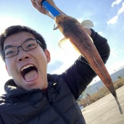 秋のマゴチ美味しくいただきました。