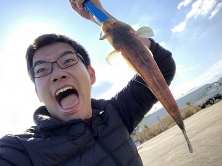 秋のマゴチ美味しくいただきました。