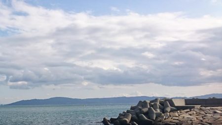 江井ヶ島漁港・根魚