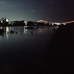 でかいガシラ！