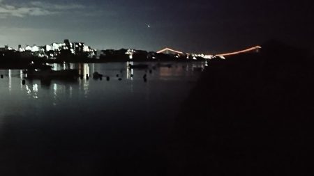 でかいガシラ！