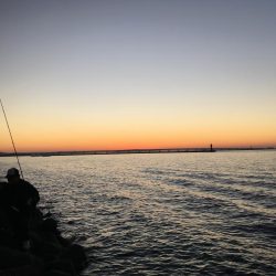 ガシラまつり♪