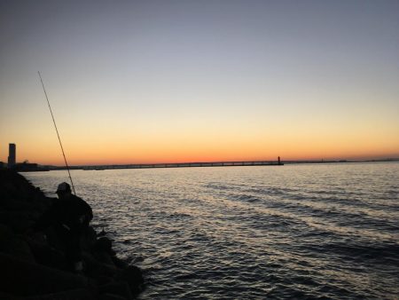 ガシラまつり♪