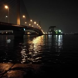 南港カモメ大橋ヘチ釣行 （キビレ30cm、ガシラ、他釣果有り）