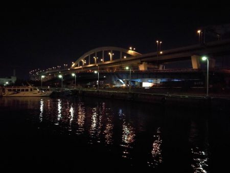 南港フェリーヘチ釣り (キビレ33cm,29cm,27cm ガシラ 釣果有り)