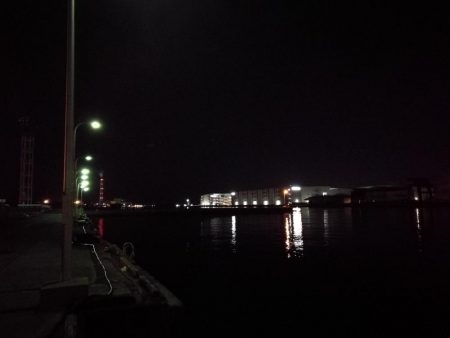 南港フェリーヘチ釣り （キビレ42cm,28cm, ガシラ 釣果有り）