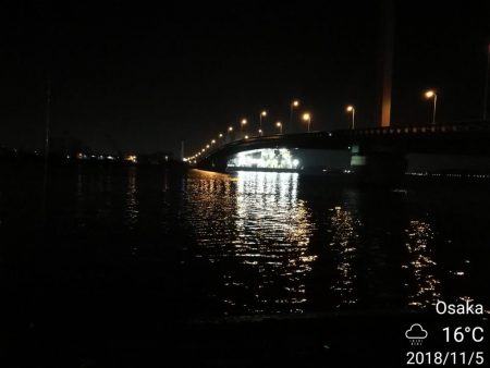 南港カモメ大橋ヘチ釣行 (キビレ36cm、ガシラ、他釣果有り)