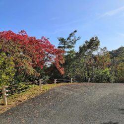 大崎海岸(休暇村 瀬戸内・東予)で投げ釣り