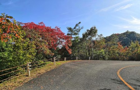大崎海岸(休暇村 瀬戸内・東予)で投げ釣り