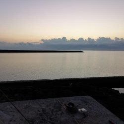 西表島でも太刀魚