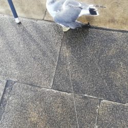 ディアルーナ対空砲