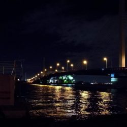 南港カモメ大橋ヘチ釣行 （キビレ37cm、ガシラ　釣果有り）