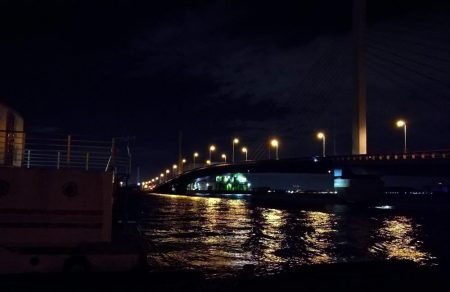 南港カモメ大橋ヘチ釣行 （キビレ37cm、ガシラ　釣果有り）