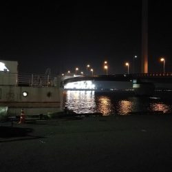 南港カモメ大橋ヘチ釣行 (無念。。チヌ釣果無し、ガシラ21cm釣果他有り)