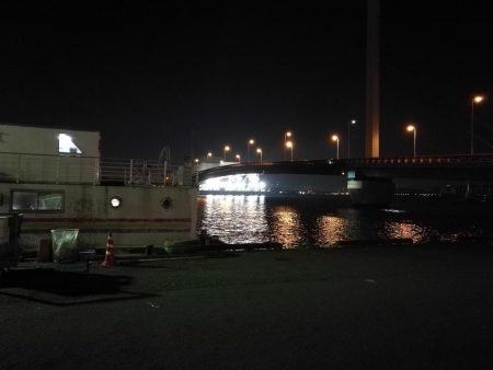 南港カモメ大橋ヘチ釣行 (無念。。チヌ釣果無し、ガシラ21cm釣果他有り)