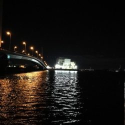 南港カモメ大橋ヘチ釣行 (再無念。。チヌ釣果無し、ガシラ 他釣果有り)