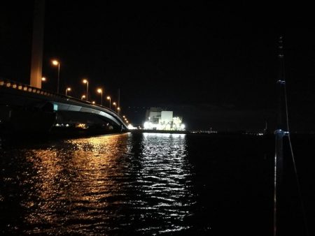 南港カモメ大橋ヘチ釣行 (再無念。。チヌ釣果無し、ガシラ 他釣果有り)