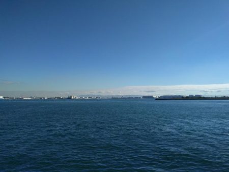 久しぶりのサゴシ