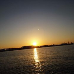 渋い中、少ない当たりをモノにしました!