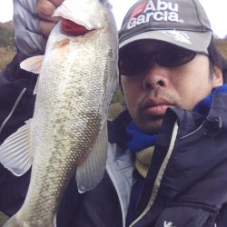 バスはシャローにもディープにも居ます…