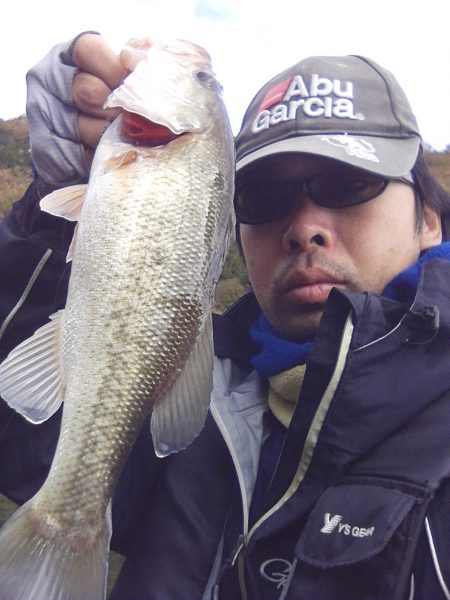 バスはシャローにもディープにも居ます…