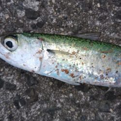 用事のついでに