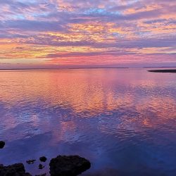 早朝、干潮時間に自作ポッパーでギンガメアジ