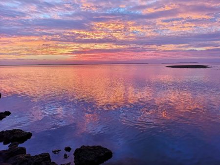 早朝、干潮時間に自作ポッパーでギンガメアジ