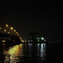 南港カモメ大橋ヘチ釣行 (小真チヌ、小キビレ、ガシラ、ハゼ 釣果有り)