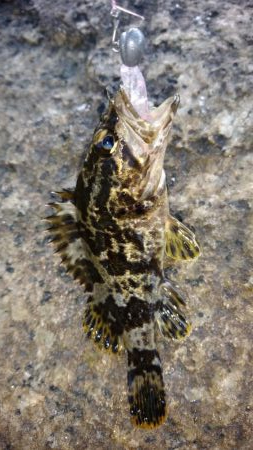 評判の釣り場見学