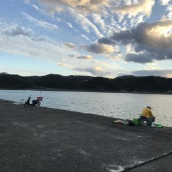 まさかテンヤでハマチ