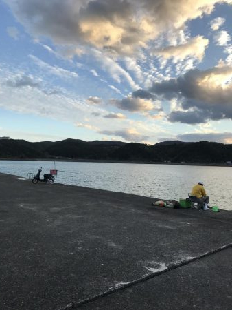 まさかテンヤでハマチ