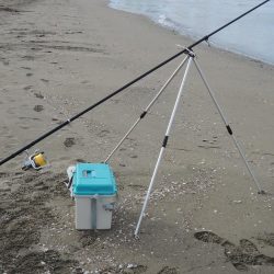 最後の落ちギス釣り