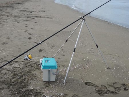 最後の落ちギス釣り