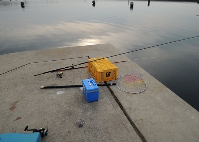 ハネを狙ったが5目釣りに