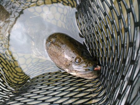 秋でもバックウォーター