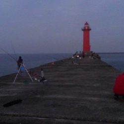 ノマセでタコ!?