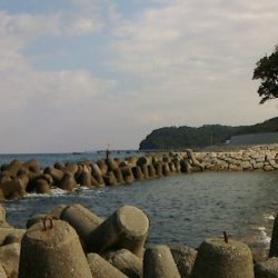 釣果はサビキのみ