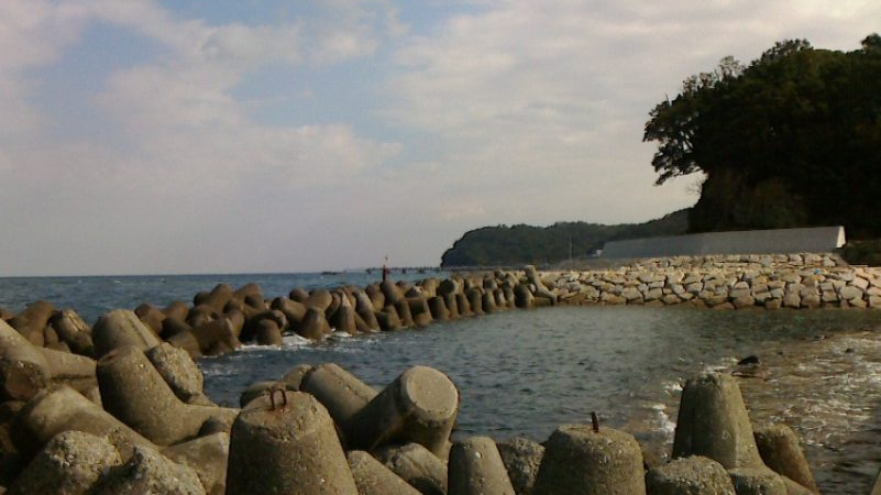 釣果はサビキのみ
