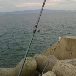 穴釣り・浮釣り