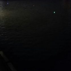 タチウオ最終エリア調査